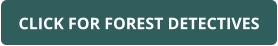 CLICK FOR FOREST DETECTIVES