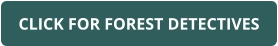 CLICK FOR FOREST DETECTIVES